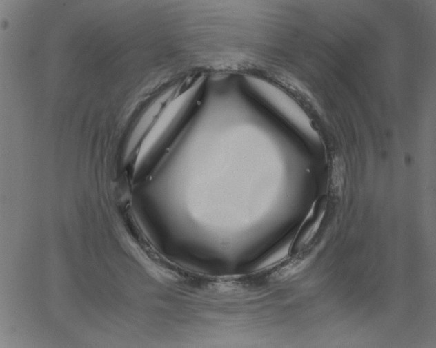 X0000067380589200604281819