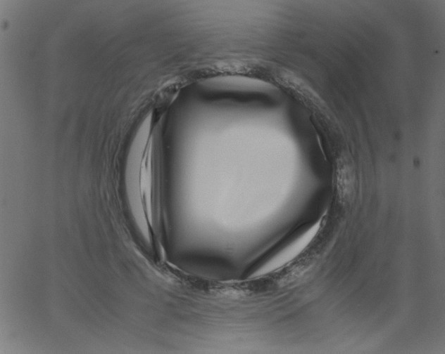 X0000067380593200604281819