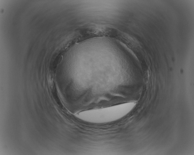 X0000067380607200604281818