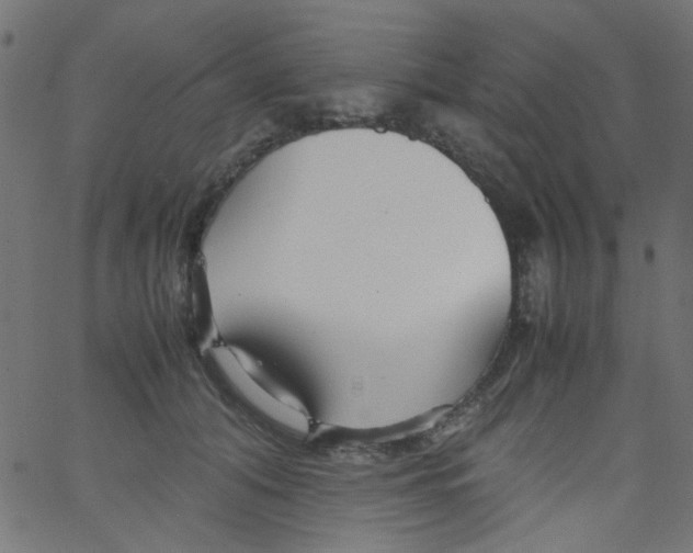 X0000067380608200604281818