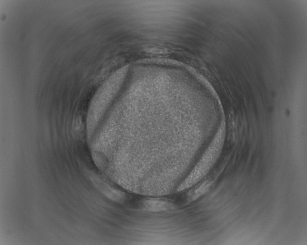 X0000067380614200604281818