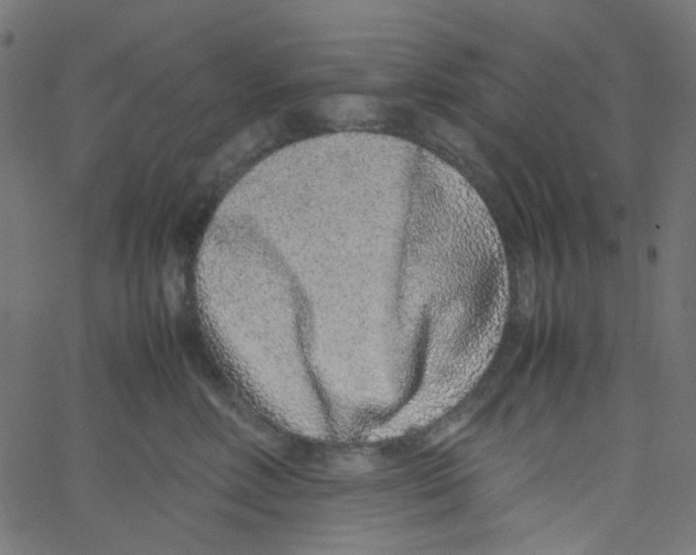 X0000067380618200604281818