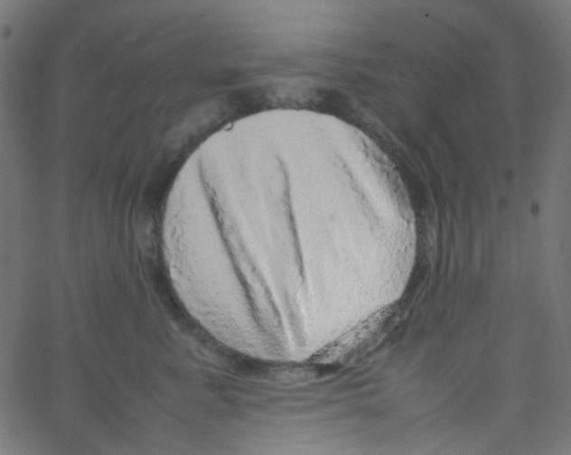X0000067380619200604281818