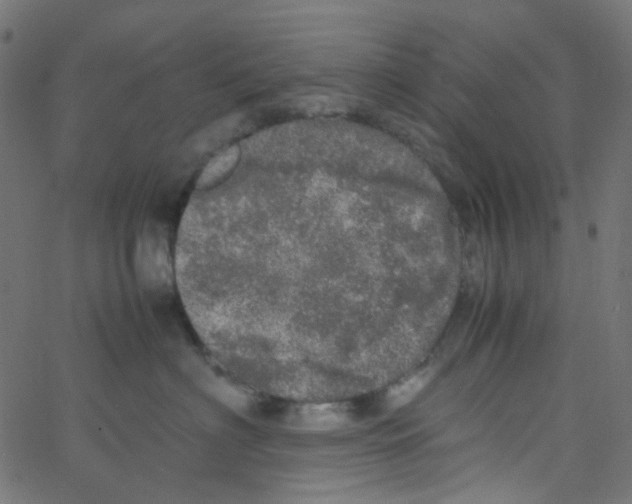 X0000067380622200604281818