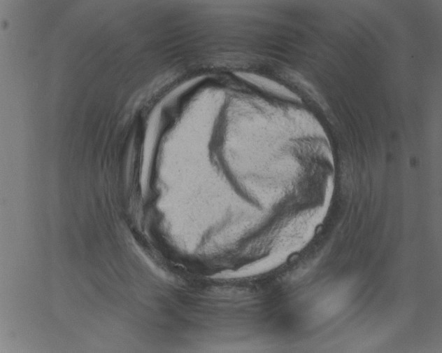 X0000067380633200604281818