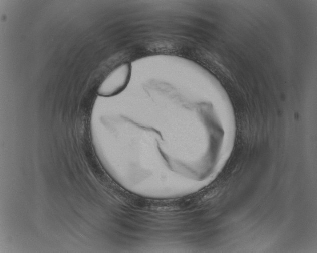 X0000067380645200604281818