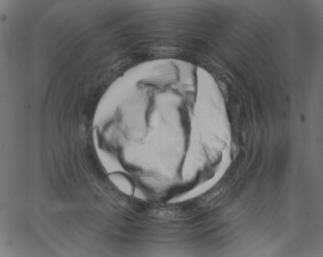 X0000067380655200604281818