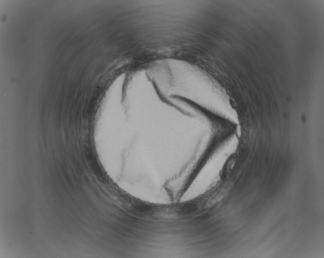 X0000067380656200604281818