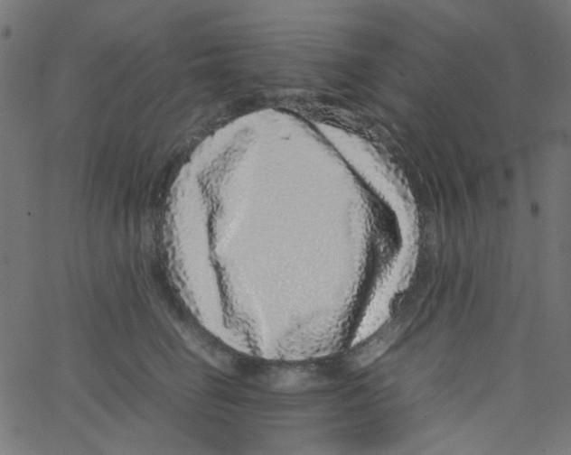 X0000067380662200604281818