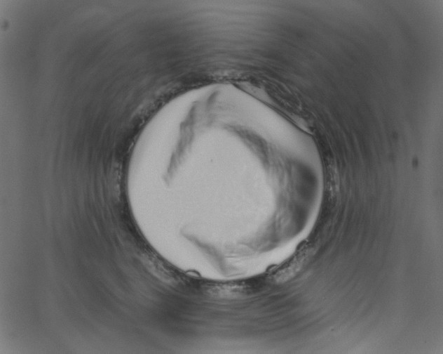 X0000067380664200604281818