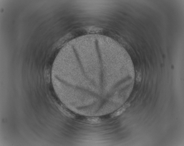 X0000067380666200604281818