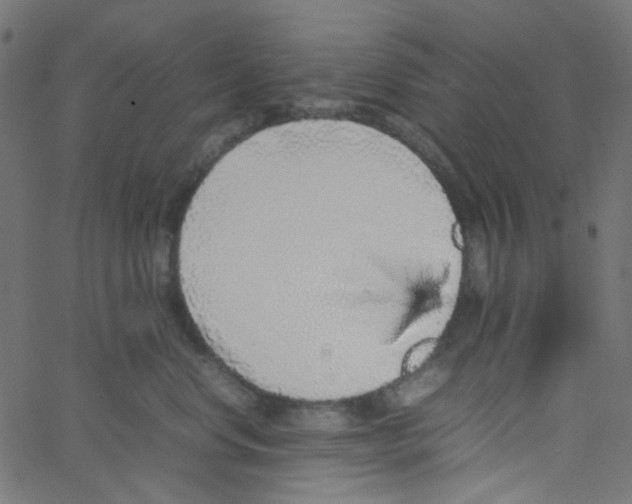 X0000067380668200604281818