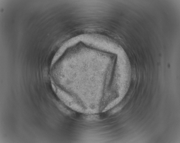 X0000067380670200604281818