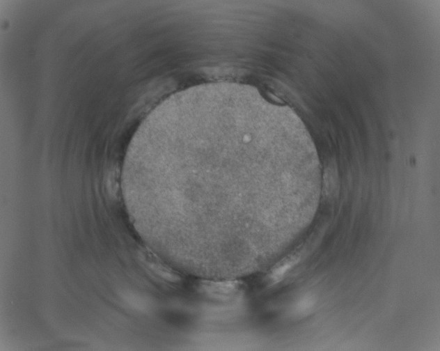 X0000067380671200604281818