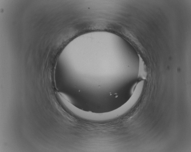 X0000067380681200604281817