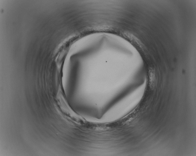 X0000067380684200604281817