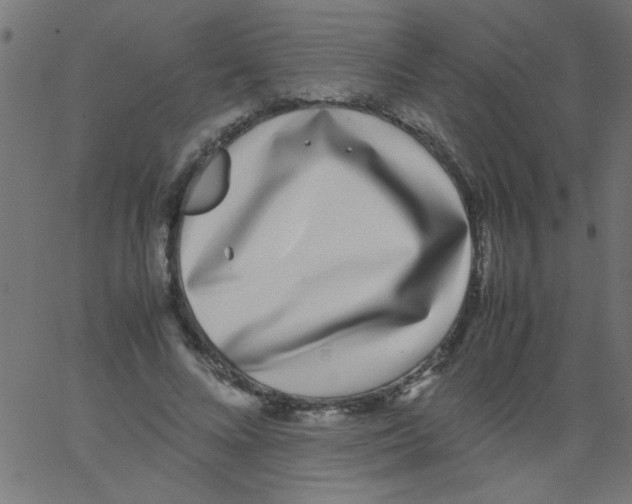 X0000067380688200604281817