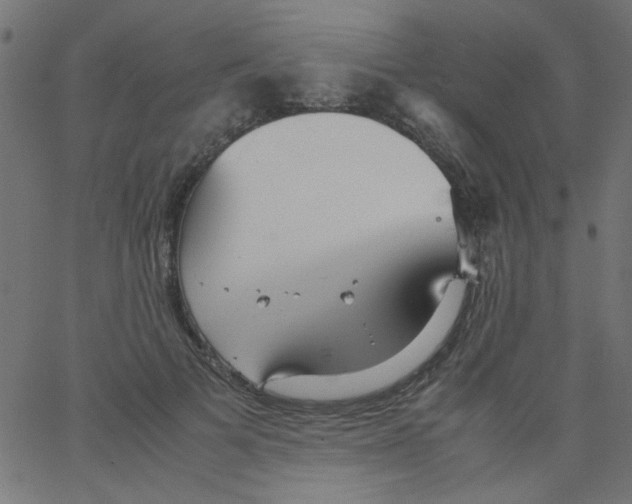 X0000067380697200604281817