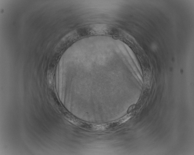 X0000067380701200604281817