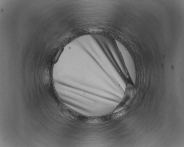 X0000067380704200604281817