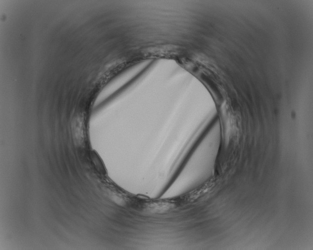 X0000067380708200604281817