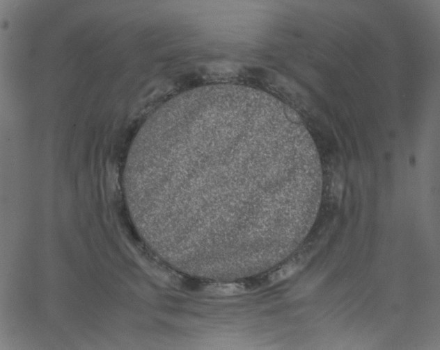 X0000067380711200604281817
