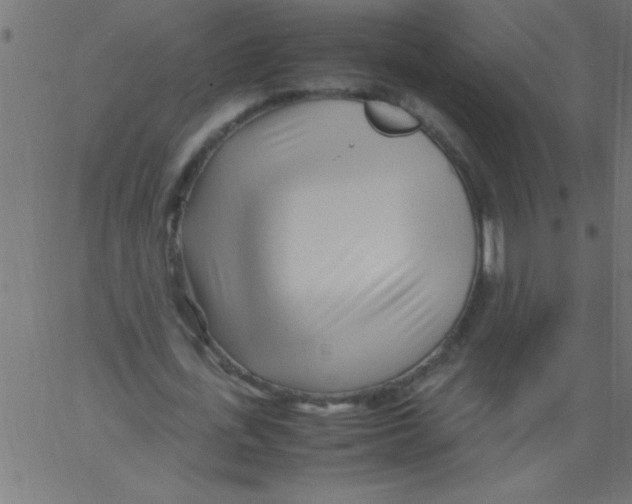 X0000067380723200604281816