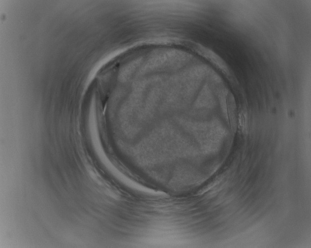 X0000067380724200604281816