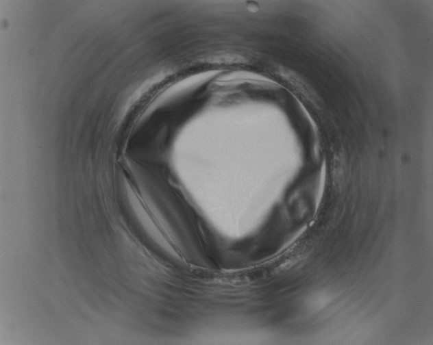 X0000067380727200604281816