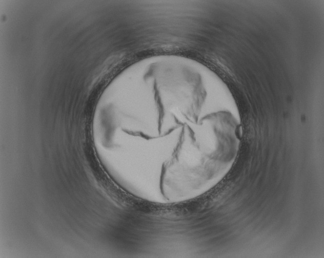 X0000067380738200604281816