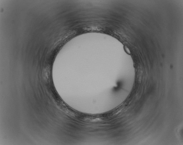 X0000067380747200604281816