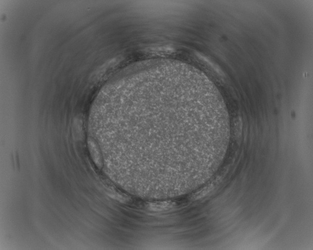 X0000067380757200604281816