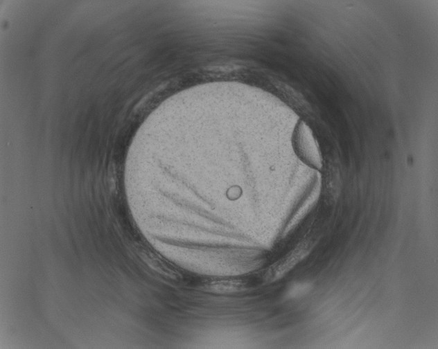 X0000067380758200604281816