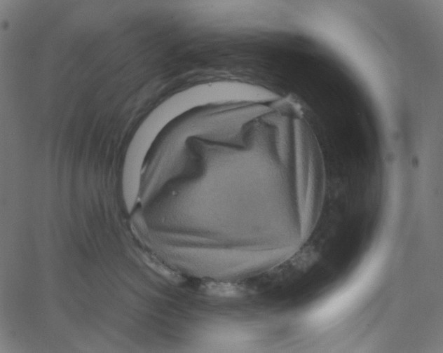 X0000067380766200604281816