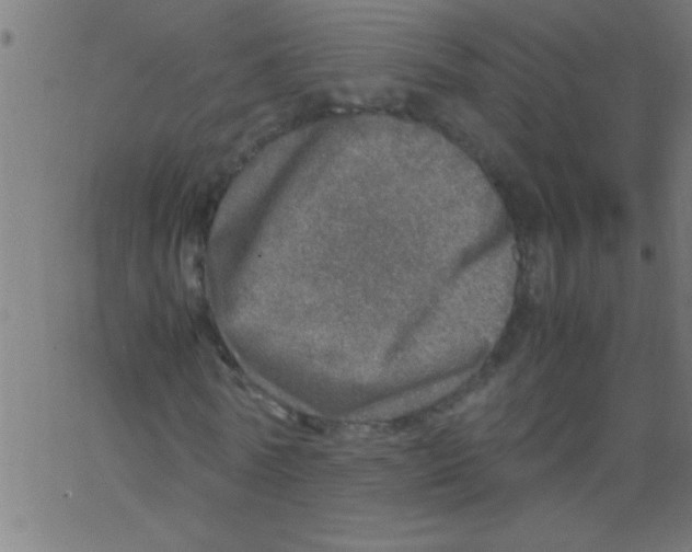 X0000067380770200604281816