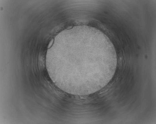 X0000067380772200604281816