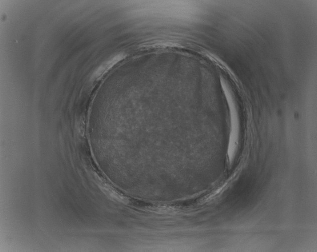 X0000067380785200604281815
