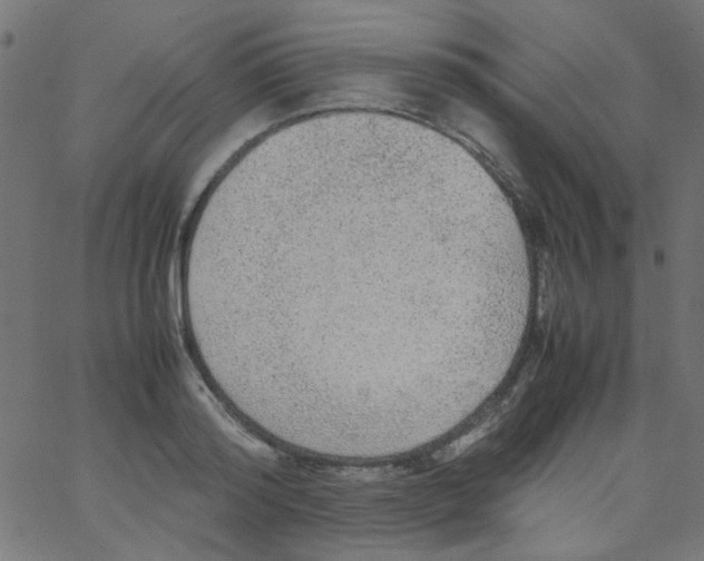 X0000067380796200604281815