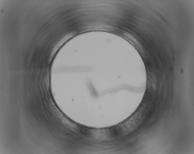 X0000067380804200604281815
