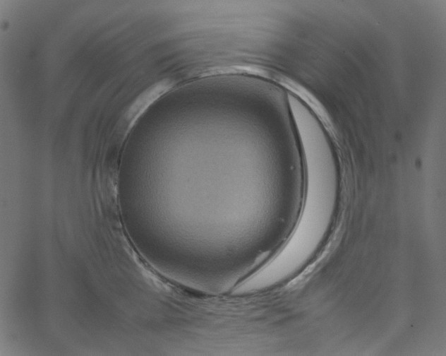 X0000067380809200604281815