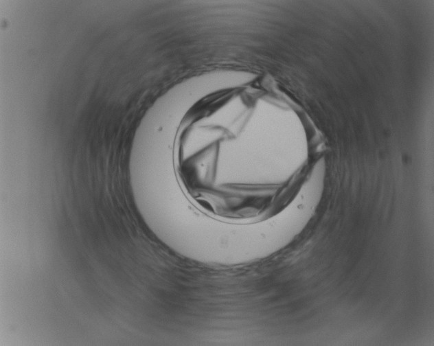 X0000067380818200604281814