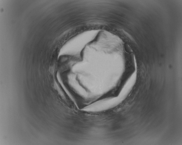 X0000067380821200604281814