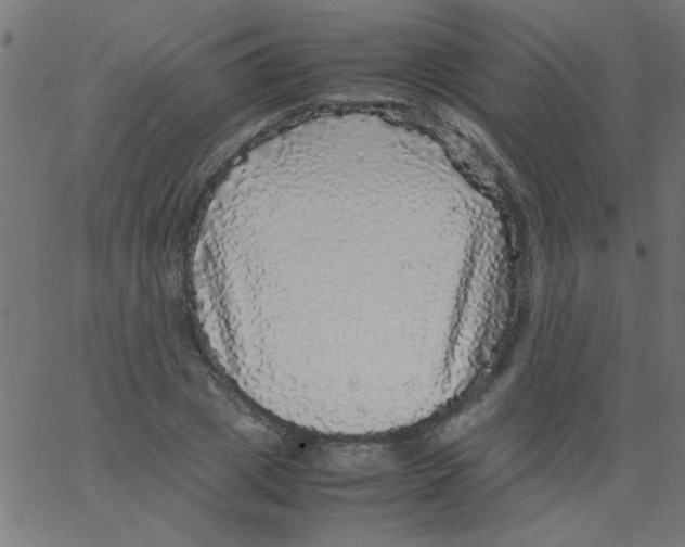 X0000067380833200604281814