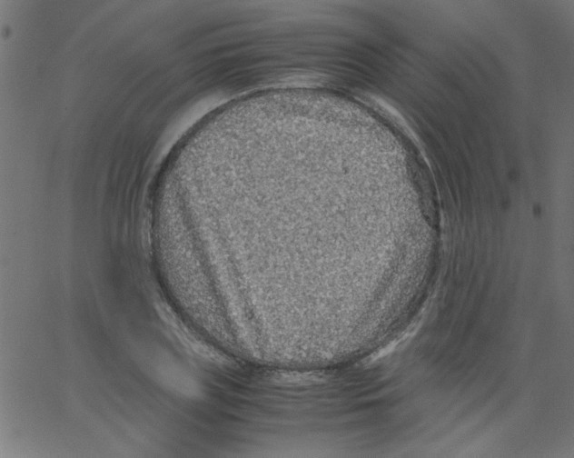 X0000067380835200604281814