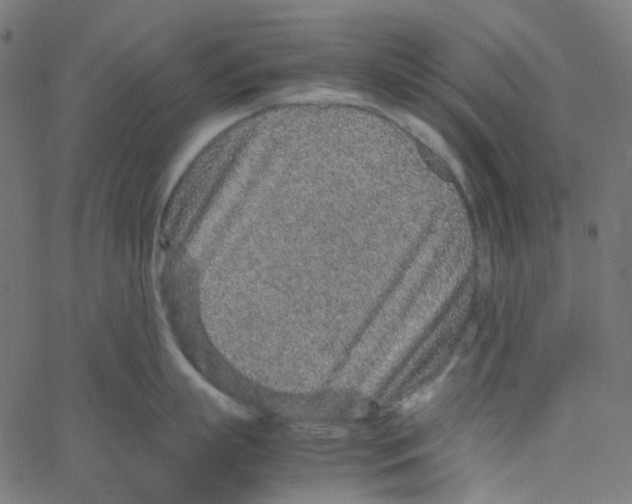 X0000067380863200604281815