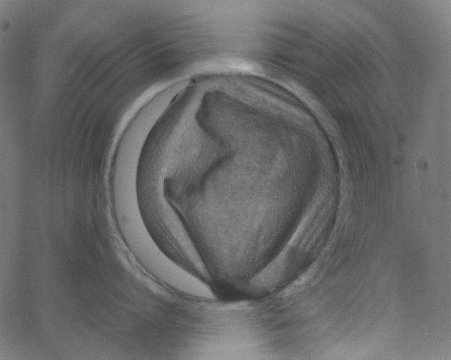 X0000067380864200604281815
