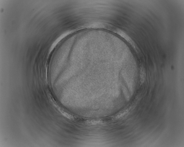 X0000067380886200604281814