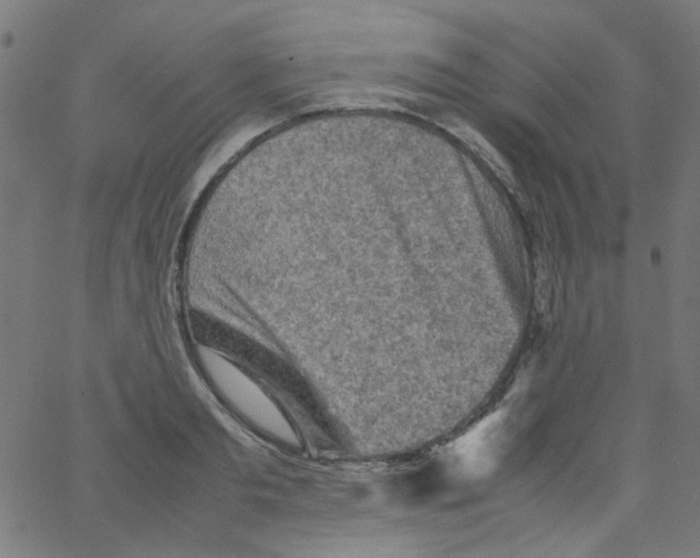 X0000067380893200604281814