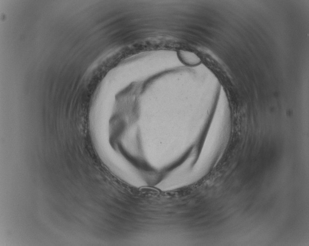 X0000067380919200604281813