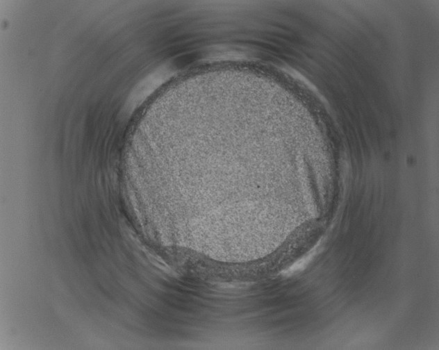 X0000067380921200604281813